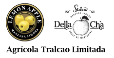 Asociado Dell'Acha