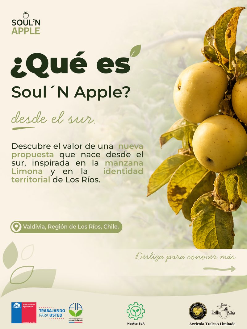 01 / Soul’N Apple