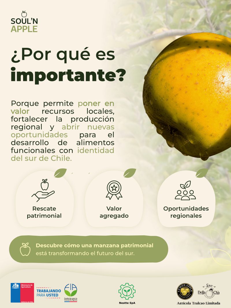 03 / Manzana Limona